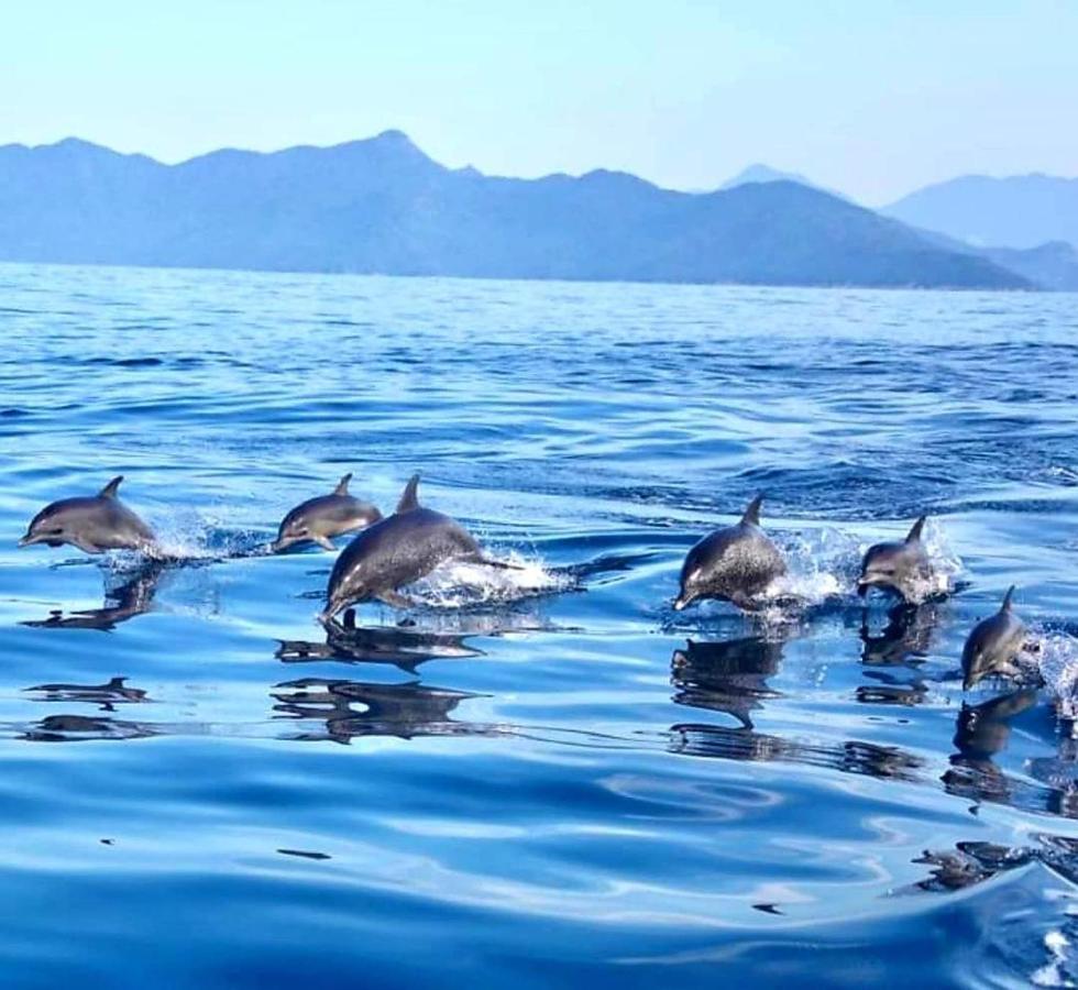 Pousada Costao Do Sol Angra dos Reis Extérieur photo